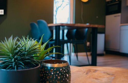 Nieuw Heeten House | Enjoy comfort and nature in the IJssel Comfort Plus bungalow for 4 persons at Vakantiepark de Sallandshoeve, with modern amenities and a peaceful setting.