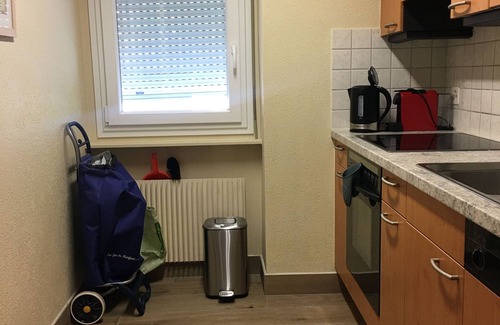 Montreux Apartment | Scenic Lakeside Retreat: Pet-Friendly Flat with Ocean Views