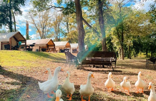 Prairie Lea Cabin | Relax by the San Marcos River in a Cozy Cabin Retreat