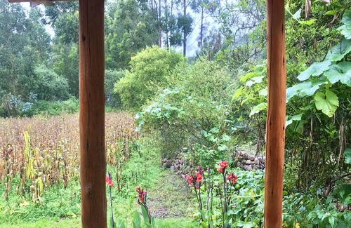 Huaran House | Experience Sacred Valley with Breakfast and Kitchen Access