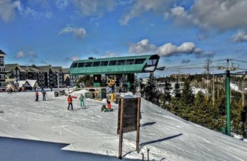 Snowshoe Apartment | Experience Long Range Views at Ski-In, Ski-Out Condo