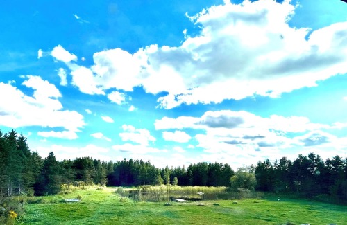 Amaranth Cabin | Enjoy the lovely setting of this romantic spot in nature.