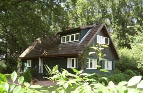 Bass Cabin | Escape to a Cozy Wooden Retreat Surrounded by Nature