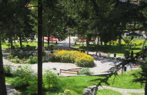 Sovata Hotel | Pet-Friendly Ensana Sovata: A 4-Star Spa Retreat