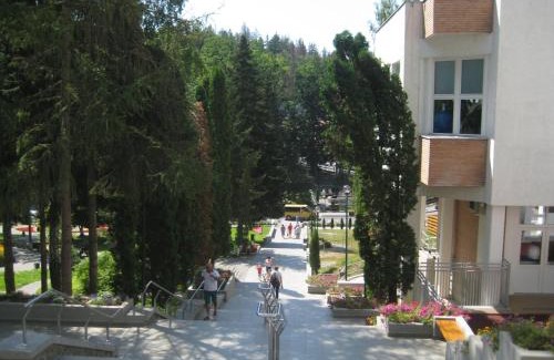 Sovata Hotel | Pet-Friendly Ensana Sovata: A 4-Star Spa Retreat