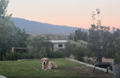 Bannockburn Cabin | Ensuite Retreat in The Heart of the Desert