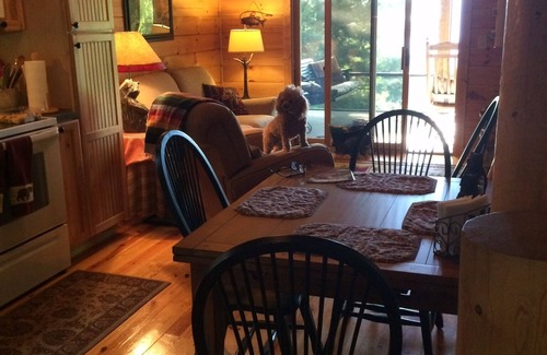 Screamer Mountain Cabin | Cozy Cabin Retreat with Pool & Spa - 30-Day Minimum Stay