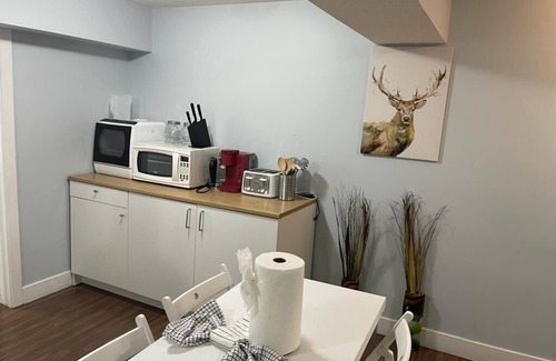 Northeast Edmonton House | Cozy One Bedroom Suite with Kitchen and Laundry Amenities