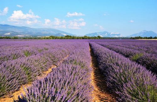 Cavaillon House | Relaxing Retreat Between Alpilles and Luberon for Families