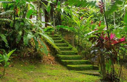 Picinguaba House | Idyllic Ocean View Retreat: Casa das Pedras, 4-Star Stay