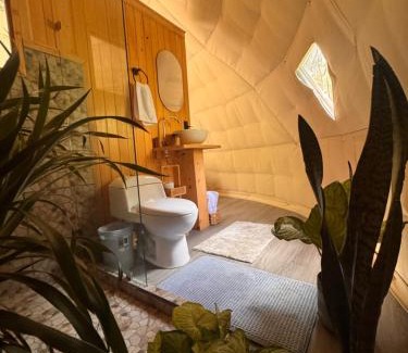 Quebrada Grande Other | Epífita, Bosque Nuboso Glamping Monteverde