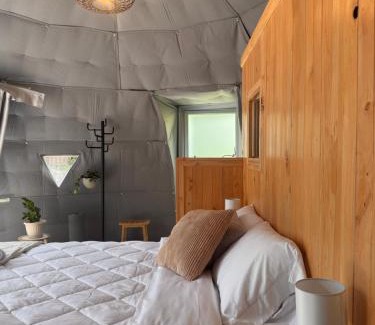 Quebrada Grande Other | Epífita, Bosque Nuboso Glamping Monteverde