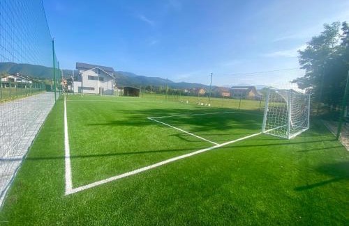 Vladeni Villa | Unforgettable EPIC Vila Brașov: Pet-Friendly Retreat
