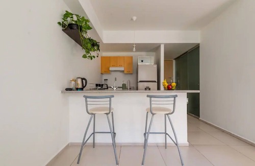 Cuauhtemoc Apartment | Cozy One Bedroom Apartment - Pet Friendly & Breakfast Included