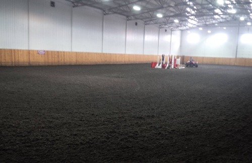 Priddis Apartment | Equestrian competitors perfect accommodation! Minutes from Spruce Meadows!
