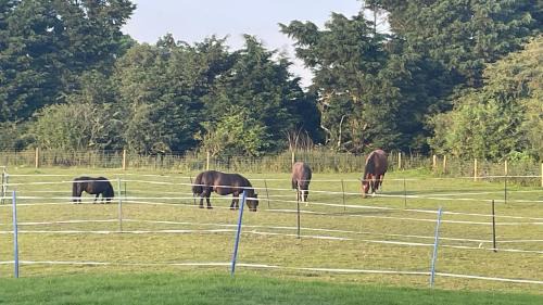 Mablethorpe House | Equestrian Retreat - Sleeps 6 & Bbq