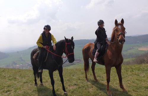 Fraisnes-en-Saintois Bed & Breakfast | Equi-Lodges: Guest Rated 9/10 with Family-Friendly Amenities
