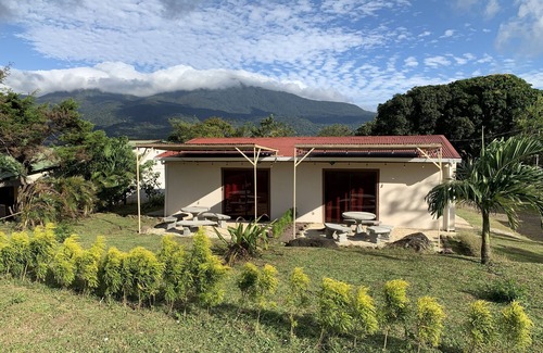 Rio Naranjo Apartment | Scenic Apartment with Pet-Friendly Amenities and Spa Access