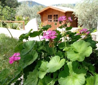 Cammarata House | Discover Equiturismo San Lorenzo - Villa KAMARA, Rated 10/10