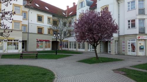Sarospatak Apartment | Top-Rated Erdélyi Vendégház with Breakfast & Family-Friendly Amenities
