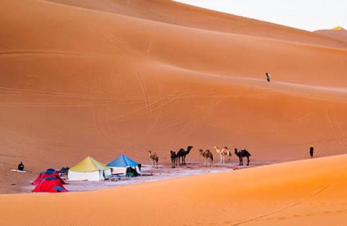 M'Hamid El Ghizlane Other | Relaxing Erg Chigaga Accommodation with Child-Friendly Atmosphere