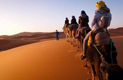 M'Hamid El Ghizlane Other | Relaxing Erg Chigaga Accommodation with Child-Friendly Atmosphere