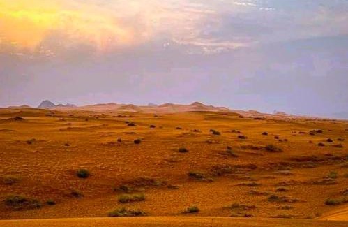 M'Hamid El Ghizlane Other | Relaxing Erg Chigaga Accommodation with Child-Friendly Atmosphere