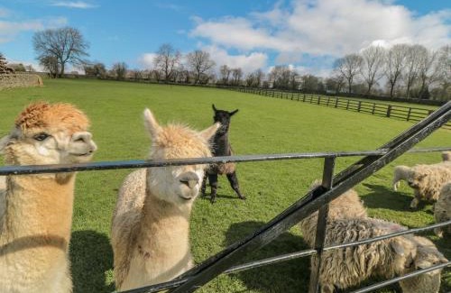 North York Moors National Park House | Experience Erica's 'eaven: A 4-Star Pet-Friendly Retreat