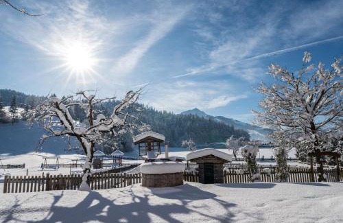 Kirchdorf in Tirol Hotel | Unforgettable Stay at Erlebnisgut & Reiterhof Oberhabach