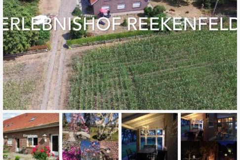 Reekenfeld Other | Pet-Friendly Erlebnishof Reekenfeld with 9.2/10 Rating