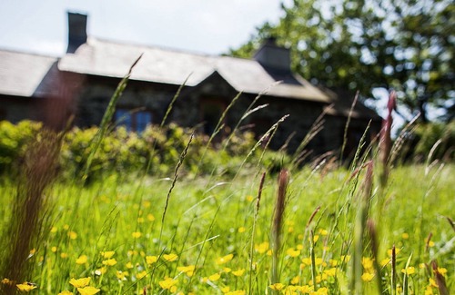 Cylch-Y-Garn Apartment | Erw Rhys: Cozy Oceanfront Escape for 6 Guests
