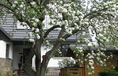 Tannenberg House | Erzgebirgsferienhaus "Compatriot" - Top-Rated Family Getaway