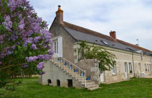 Saint-Epain House | Discover Villeperdue: Family & Pet-Friendly Retreat