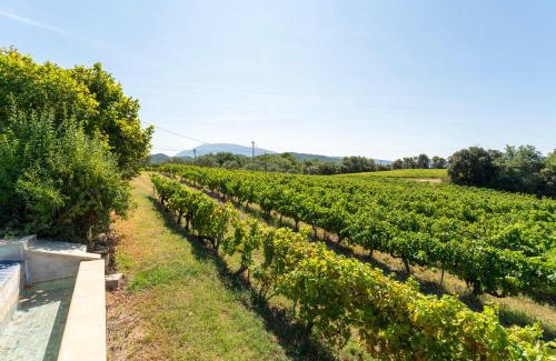 Saint-Romain-en-Viennois House | Escale des Crozes