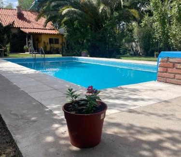 San Rafael Bed & Breakfast | Exclusive Stay at Finca with Vineyards and Olive Groves