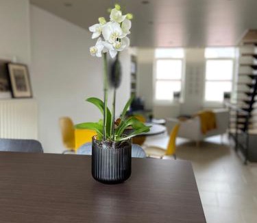 Binche Apartment | Coastal Retreat at escapade_Binchoise with Ocean Views