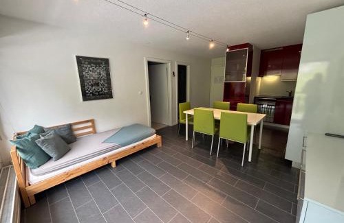Vex Apartment | Ideal Mountain Retreat: Pet & Child Friendly Getaway!
