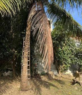 Praia dos Anjos House | Escape to Paradise: Poolside Oasis Steps from the Beach