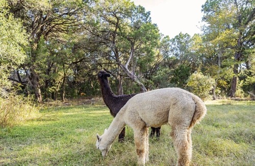 Driftwood House | Escape to the Hill Country at Broken Oaks Ranch