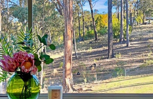 Bald Hills House | Escape to the relaxing Boobook Barn.