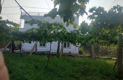 Chikkaballapur Other | Escape toTranquility, Experience the Rustic Charm of Rediscover Nature's Embrace