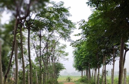 Chikkaballapur Other | Escape toTranquility, Experience the Rustic Charm of Rediscover Nature's Embrace