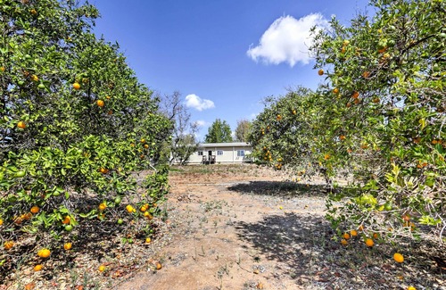 Escondido Cottage | Exceptional Escondido Vineyard Estate: Steps from Wineries!