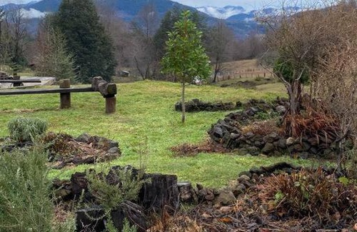 Pucon Apartment | Discover Espíritus del Cañi: Tiny Home & Distillery Escape