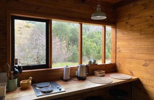 Pucon Apartment | Discover Espíritus del Cañi: Tiny Home & Distillery Escape