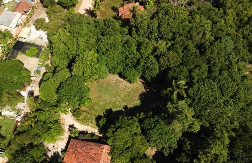 Cumuruxatiba Apartment | Espaço Pé de Mangaba - Nature Retreat for Families & Pets