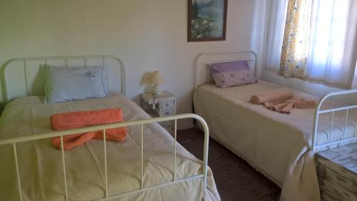 Sao Luis House | Discover Espaço Pinguim: Pet & Child Friendly Retreat