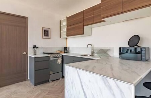 Santa Maria la Ribera Apartment | Beautiful Terrace Apartment in CDMX with Kitchen Access