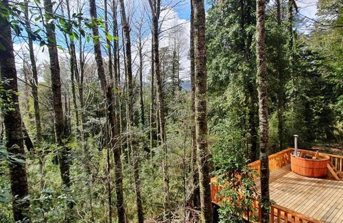 Neltume House | Spacious Huilo Huilo House with Top Guest Rating 9.4