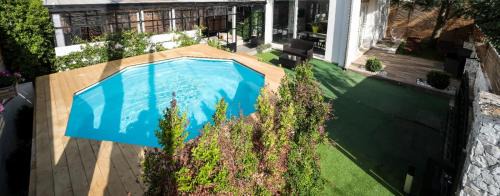 Casarano House | Essential Suite: Pet-Friendly Oasis with Oceanfront Views